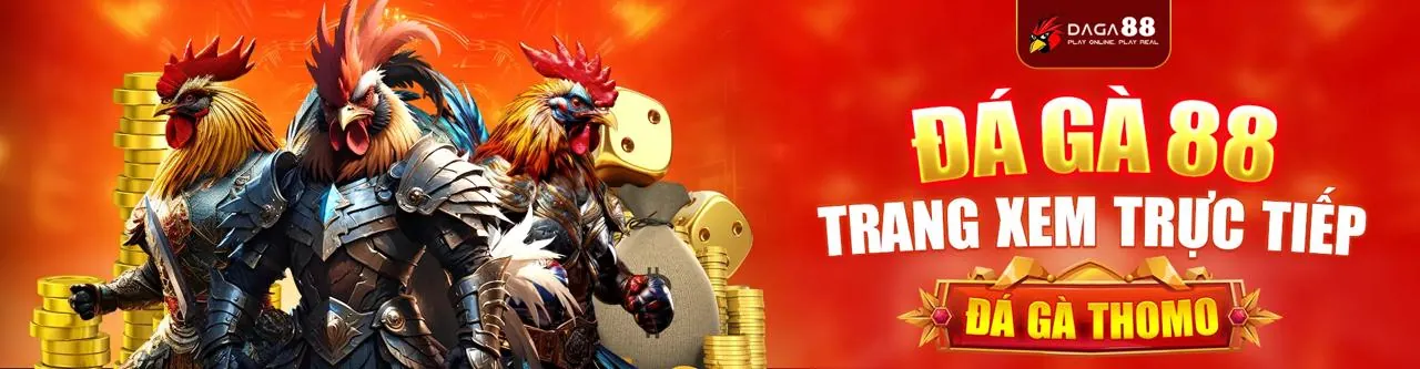 Một trận đấu đá gà nảy lửa trên nền tảng gâcm67 link vào